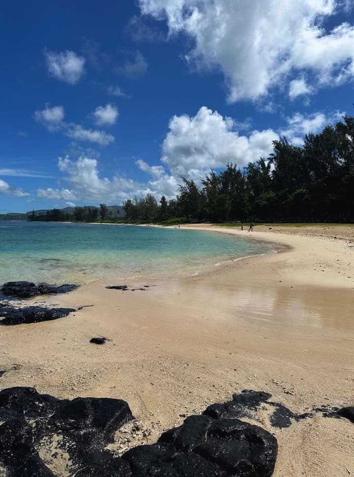 long stretched white sanded beach in Mauritius with turquoise water and tall trees along the beach edge