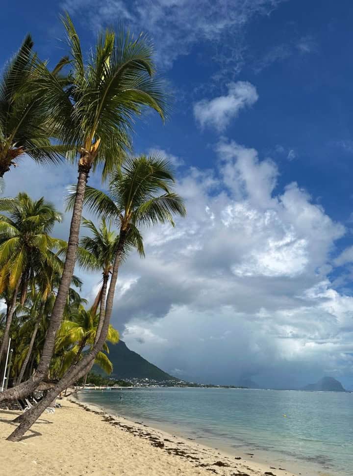 row of tall palm trees at the edge of a soft sanded beach with calm water, mountains are set on the horizon and dark clouds are setting in at Wolmar beach