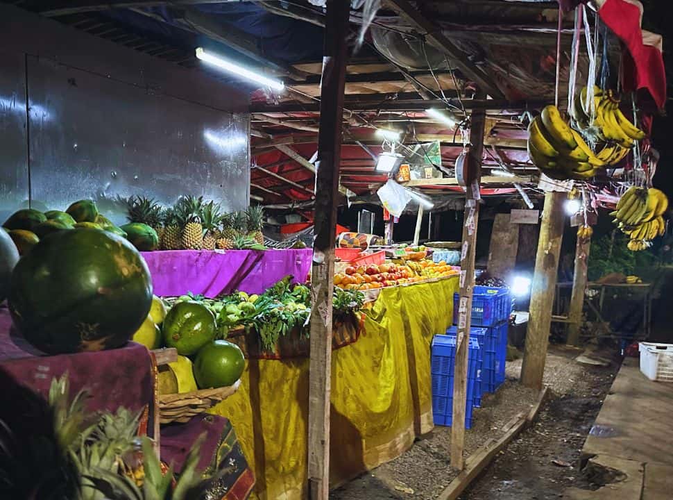 a fruit and vegetable stall along the road, it is already dark so the lights are on. There are all sorts of fruit, banana, watermelon, papaya, pineapple etc. 