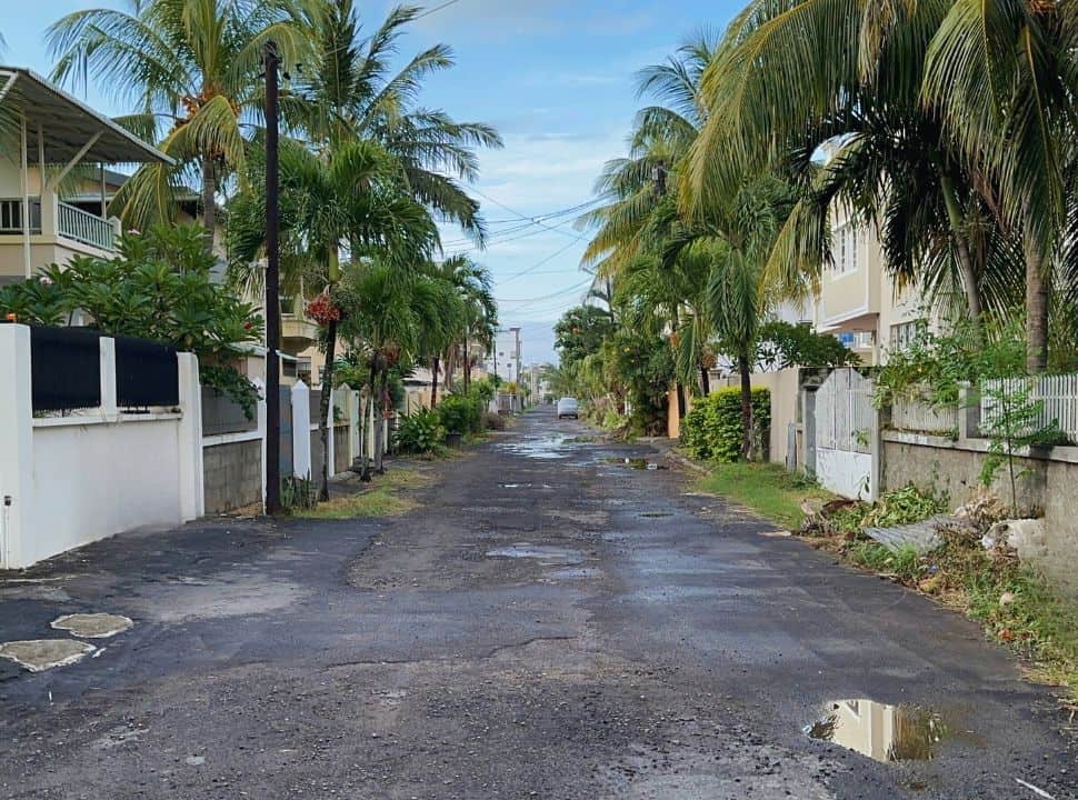 residential street in Flic en Flac, with palm trees lined along the gated houses
