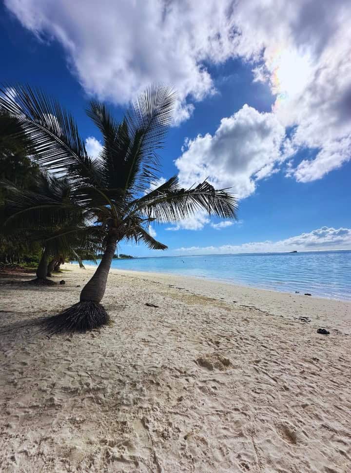 belle mare beach with soft white sand, swaying palm trees and calm blue water is an excellent place to stay in Mauritius for couples