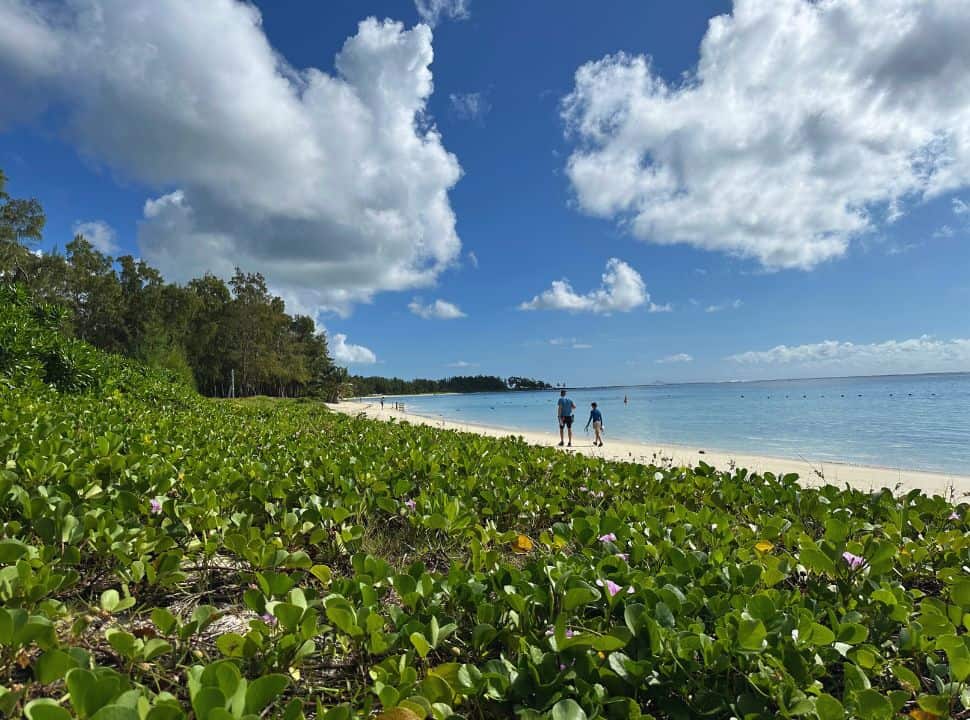 father and son walking along belle mare beach, a long stretched tropical beach with flower, trees, soft sand and blue sea. 