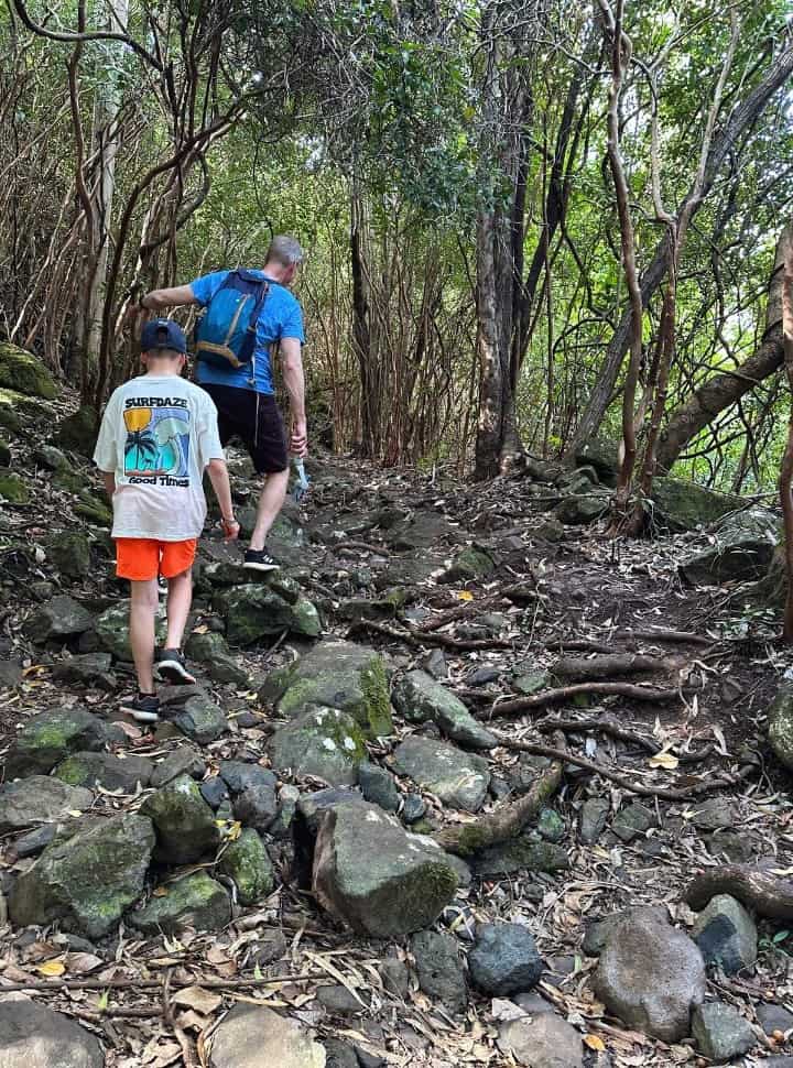 father and son hiking up a path of rocks in a forested area in a Mauritius