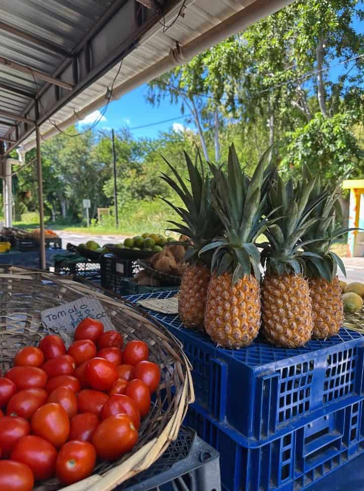 tomatoes, pineapple, papaya, cocounut and mango for sale along the street at a fruit stall in Mauritius