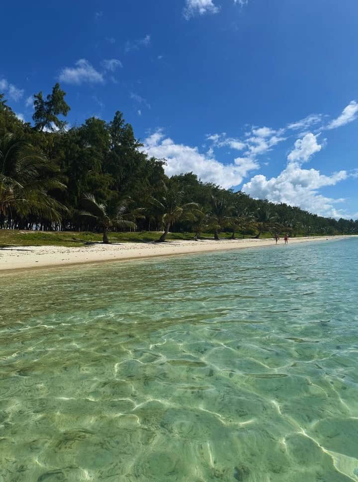 picture taken from the water of the tropical beach with a line of palm trees and in the back lots of trees in Mauritius