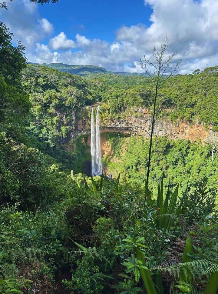 a tall waterfall set in a lush green gorge in Mauritius
