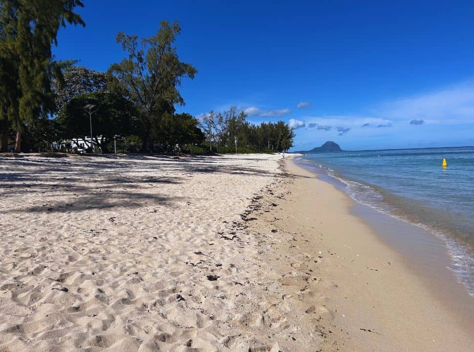 a long white sanded beach with trees on one side and a calm blue ocean on the other, in the distance Le Morne Brabant is visible