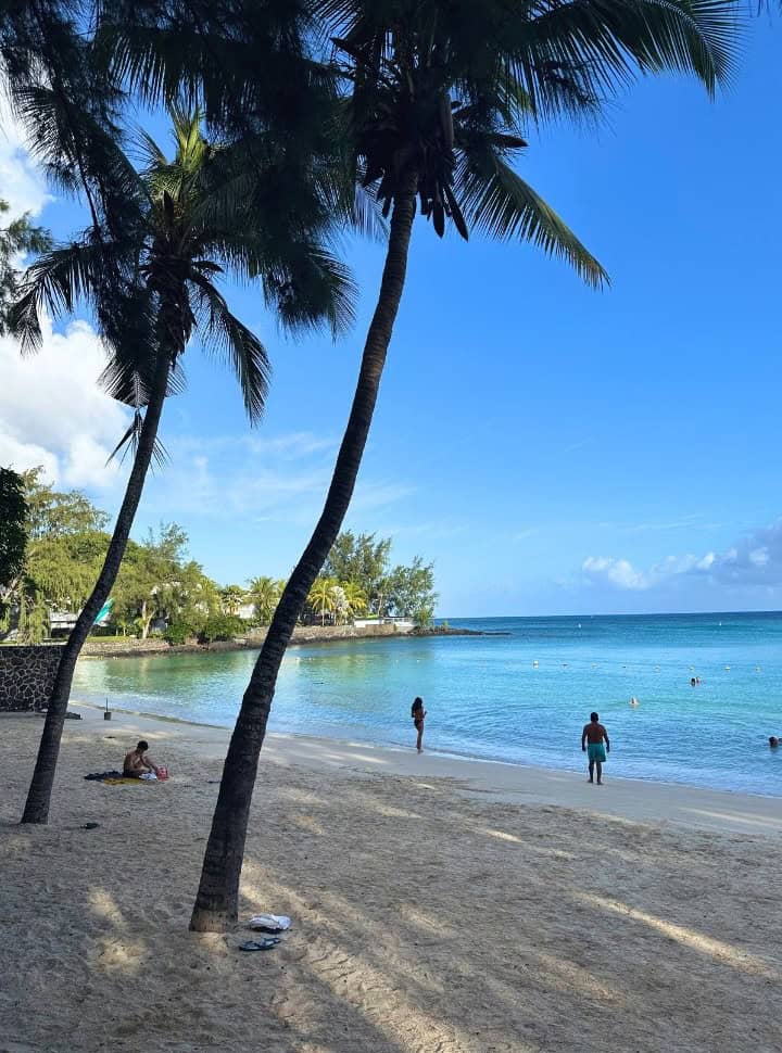 two palm trees set at quiet beach in the morning, water is calm and people are swimming in north of Mauritius