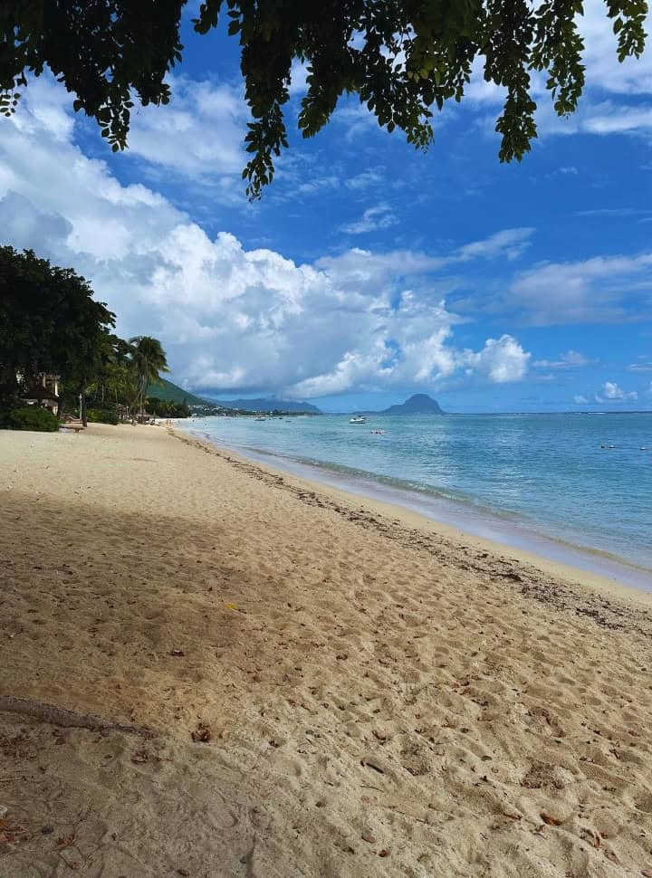 a long white sanded beach with trees on one side and a calm blue ocean on the other, in the distance Le Morne Brabant is visible