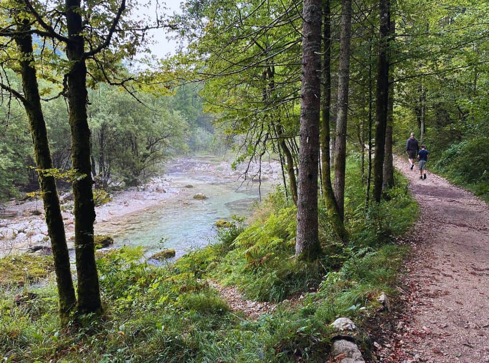 father and son walking along a forest trail along a stunning river near Lake Bohinj