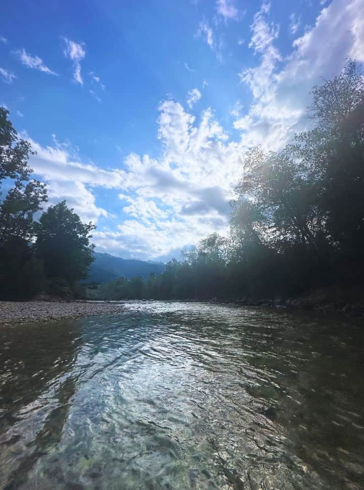 view of a river in Bohinj surrounded by vegetation. 