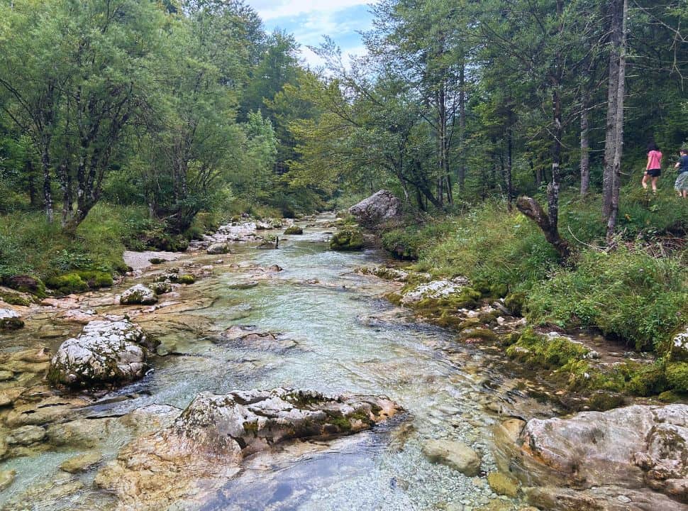 beautiful clear river flowing through the forest, with rocks visible in the bottom the river and along the river banks at mostnica gorge Slovenia