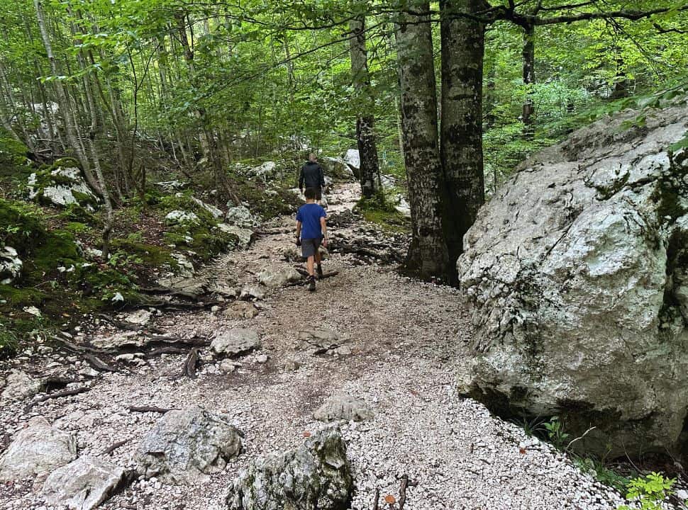 father and son following a trail through a forested area with rocks and tall trees towards Savica Waterfall Slovenia