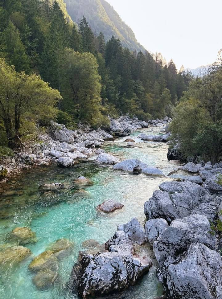 beautiful river scene with boulders, rocks and lush vegetation along the river beds of Soča river and mountains in the back 