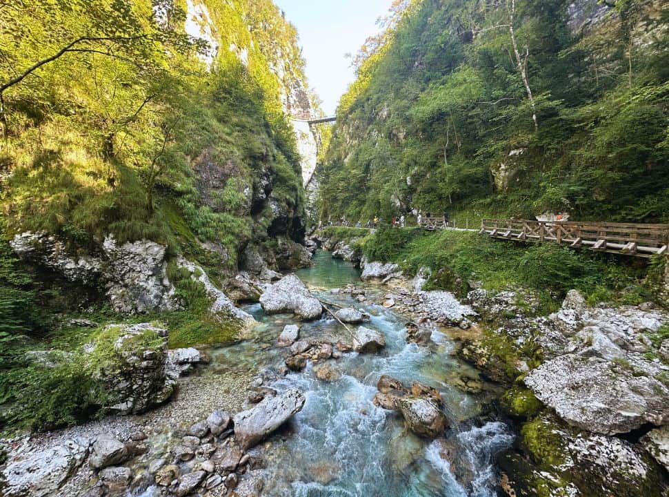 the Tolmin gorge with paths on the right so visitors can enjoy the gorge from various angles. 