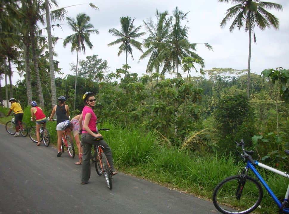 a group of people joining a cycle tour in Sidemen where you can find palm trees and green vegetation. 