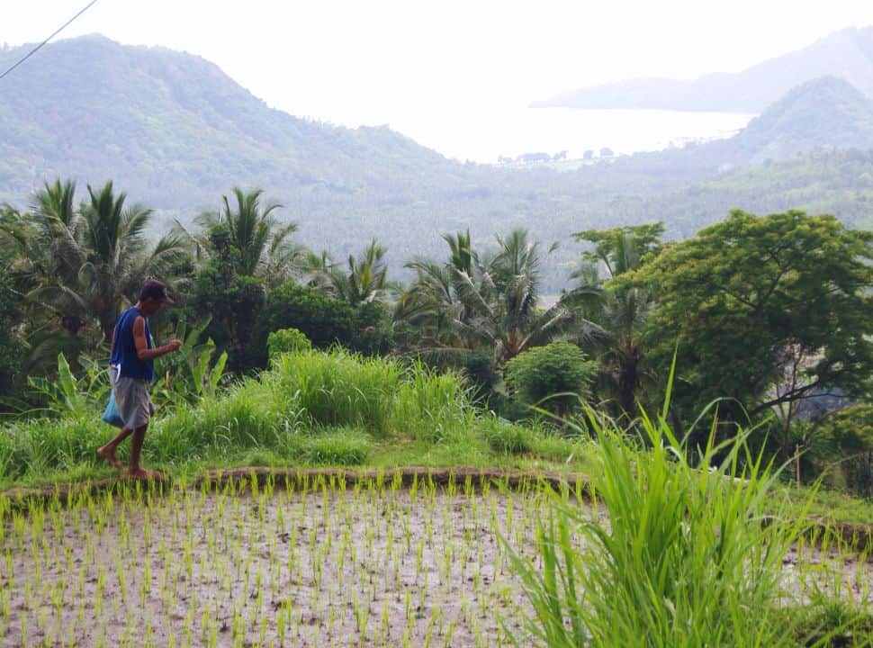 man taking care of his rice field with view of Padangbai bay far beyong