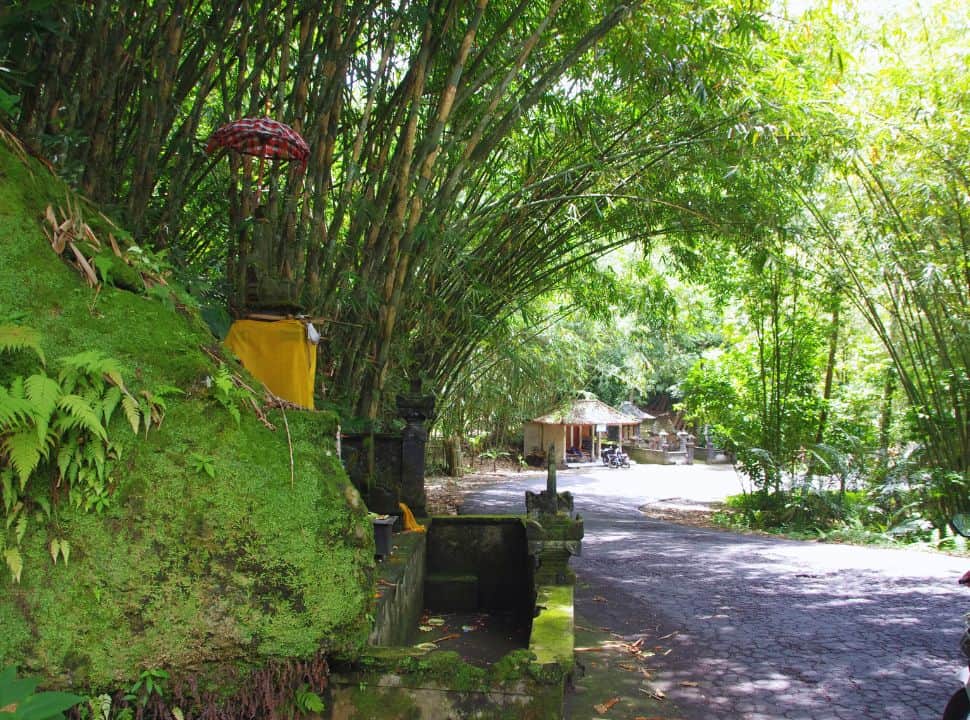 temple located along the main road, set under huge bamboo providing a green and natural shade nearby Sidemen