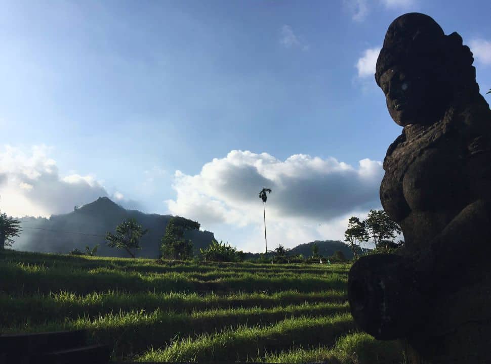 view of the rice fields terrace, with mountains in the back and on the side a beautiful statue of a woman typically found throughout Bali