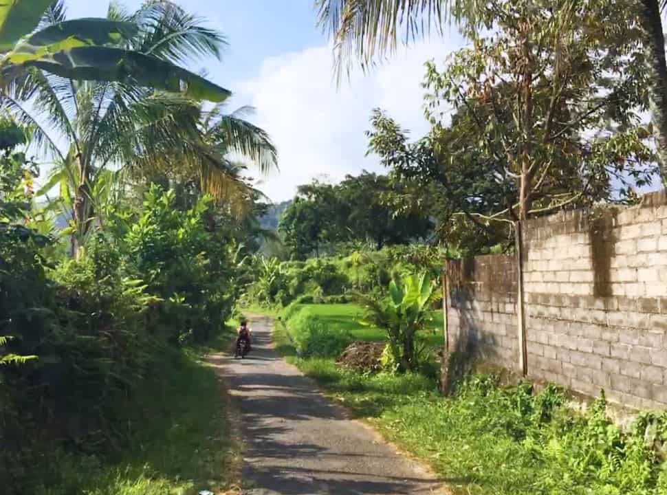 narrow street set within green vegetation and rice fields in Sidemen Bali