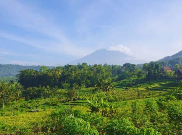 view of valley with rice fields with mount agung looming on the horizon on a clear day in Sidemen Bali
