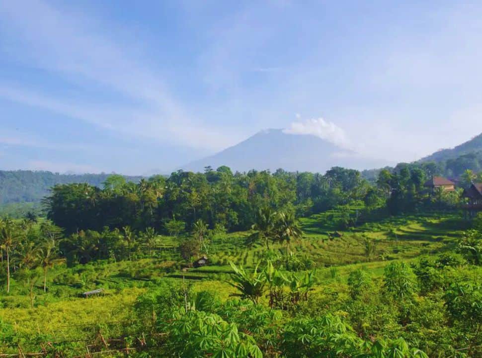 view of valley with rice fields with mount agung looming on the horizon on a clear day in Sidemen Bali