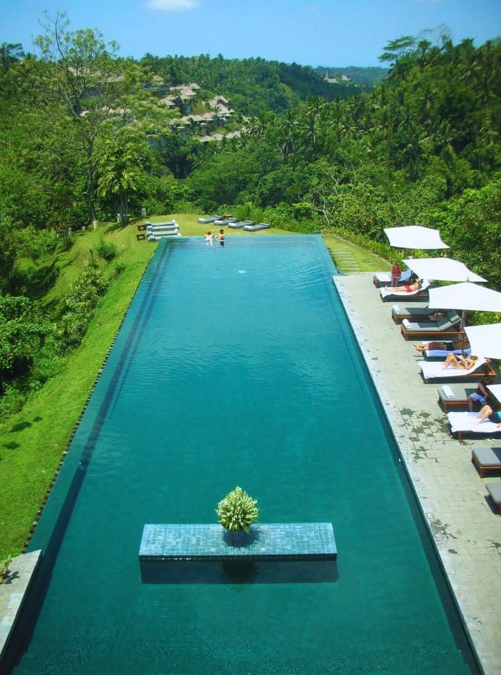 infinity pool facing the jungle ravine with stunning view over the green lush jungle just outside Ubud center