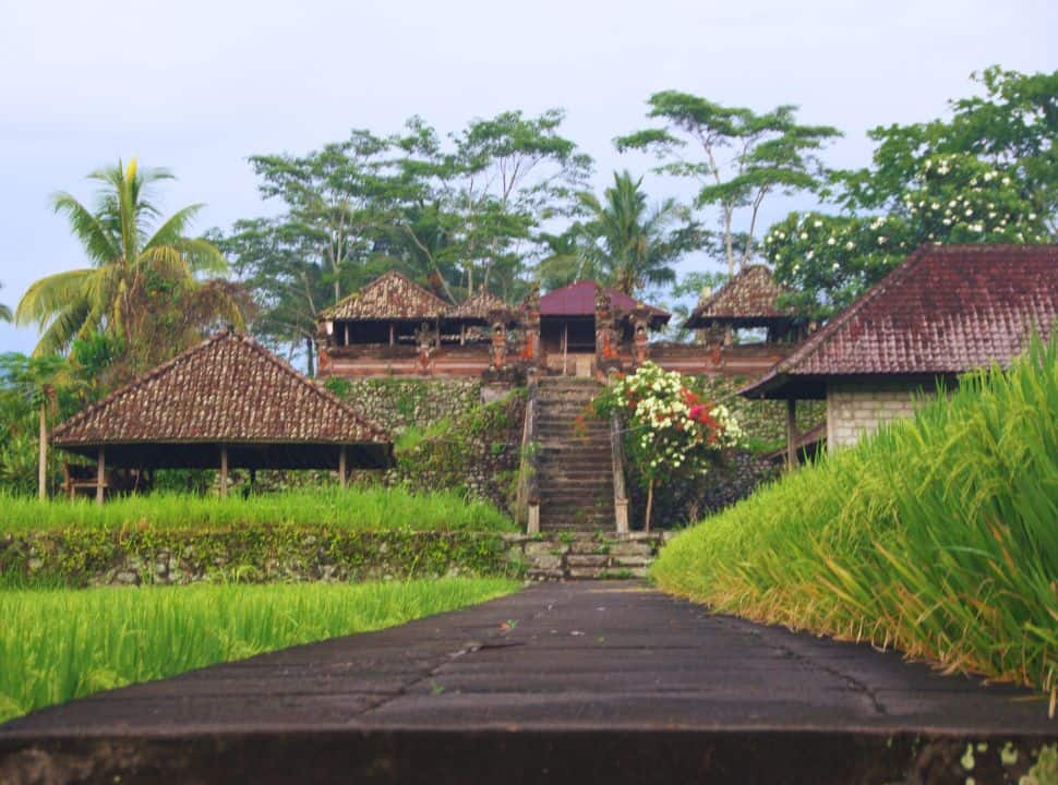 Balinese temple set within the rice fields and surrounded by tall trees in Sidemen