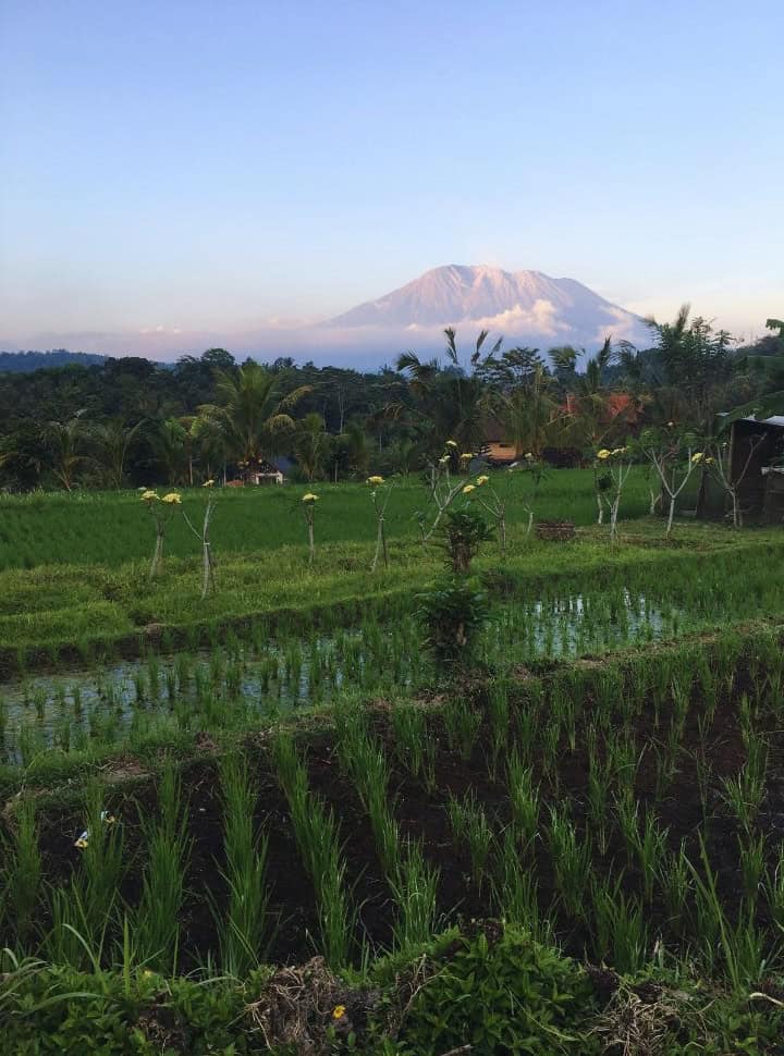 view of the summit of Mount Agung in the far distance