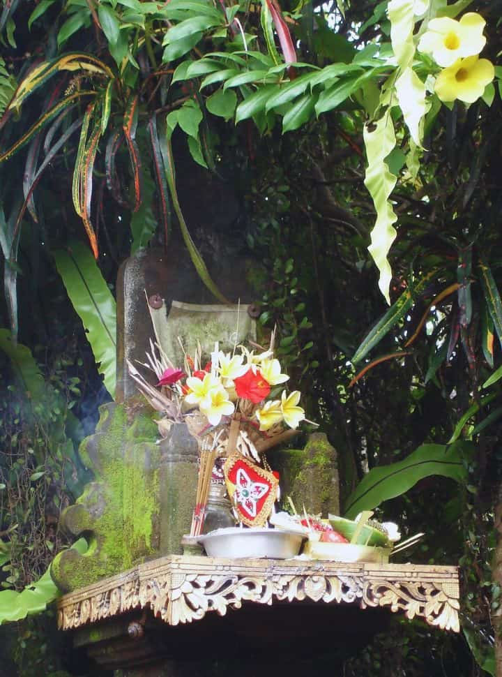 Balinese offering with flowers, essence and decorations