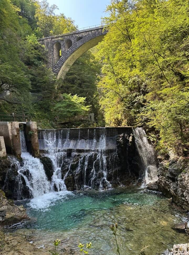 a dam with water flowing into a crystal clear pool, above the river there is a stone railway bridge tucked within the tree tops at Vintgar Gorge Slovenia