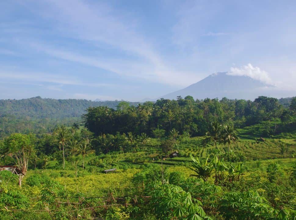 view of a rice field valley in Sidemen with Mount Agung looming on the horizon