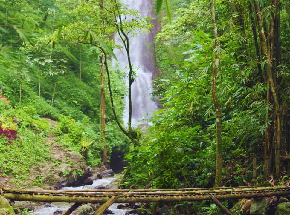 waterfall set within a lush jungle, with a bamboo bridge above a stream in Munduk Bali
