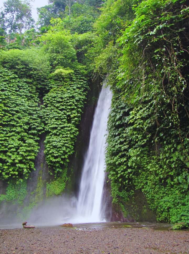 tall waterfall on both sides lush vegetation, falling into a small pool nearby Munduk village Bali