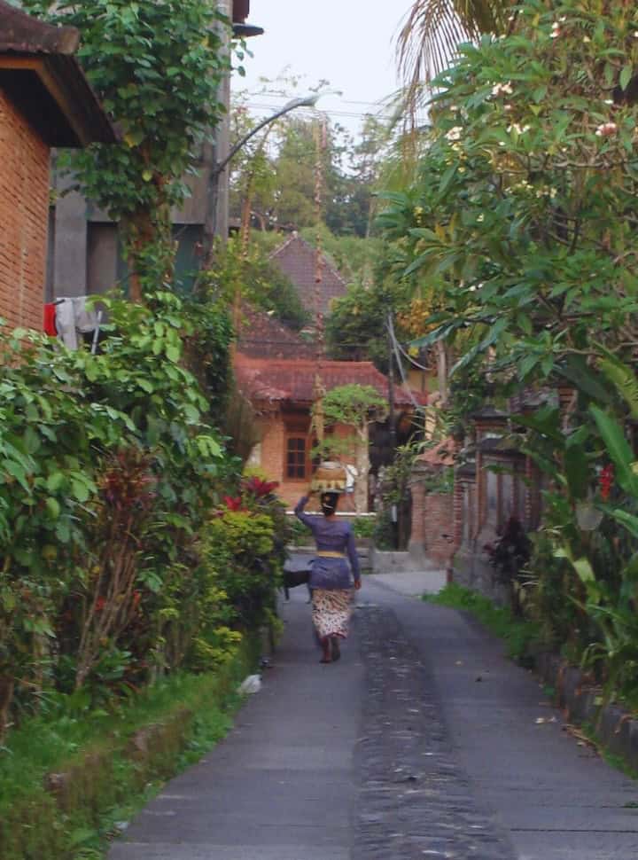 Balinese woman balancing a basket on her head walking along a small alley in Ubud Bali with green vegetation on both sides