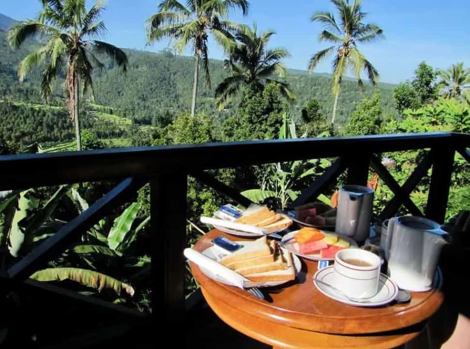 typical tourist breakfast of toast with fruit and tea served on a balcony in a Munduk home stay with gorgeous view of a green ricefield, mountain slopes and palm trees