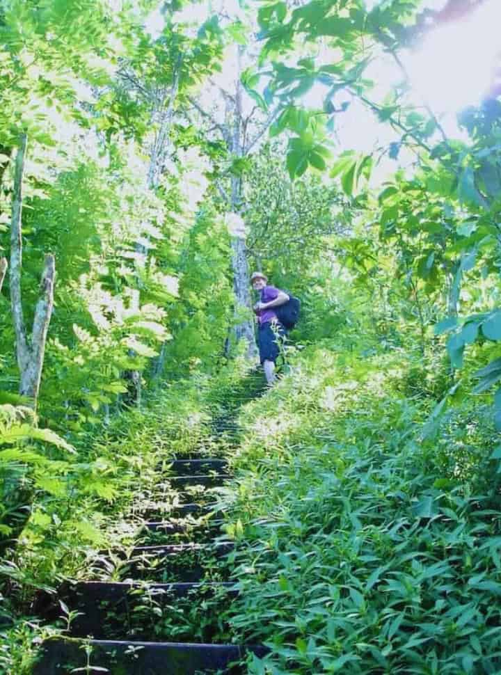 man hiking up a fleet of stone stairs surrounded by green lush vegetation nearby Munduk town