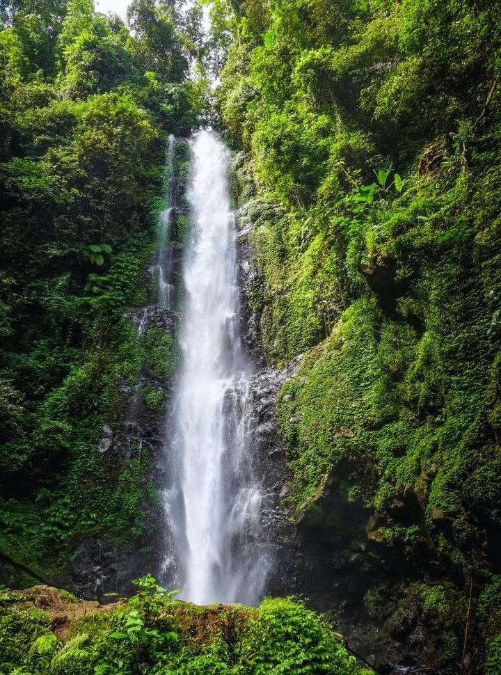 tall waterfall surrounded by green plants and trees, pool is not visible behind the big rocks nearby Munduk