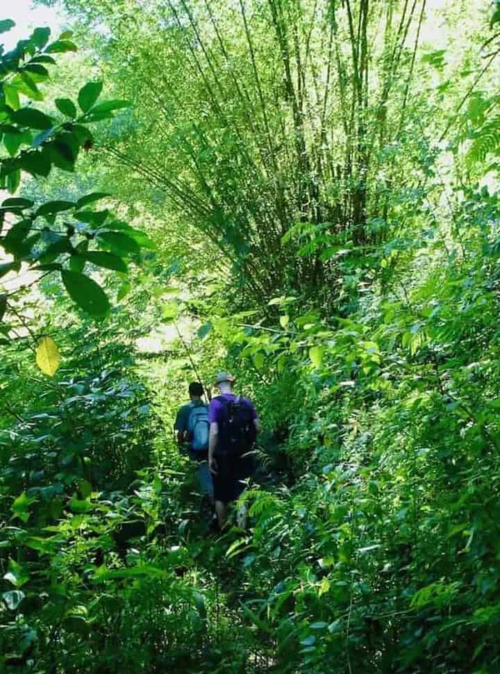man with his guide walking along a narrow path through lush green vegetation in Bali