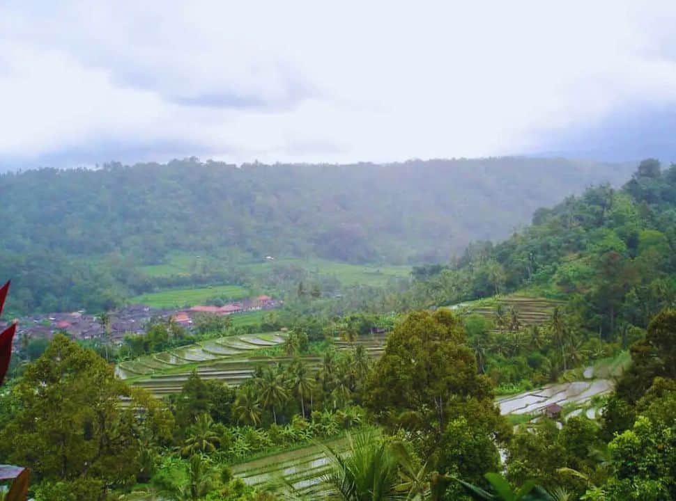 rice field valley with heavy rain clouds above taken from a restaurant in Munduk