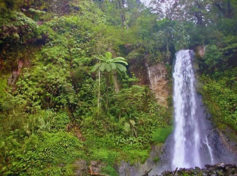 waterfall at munduk bali