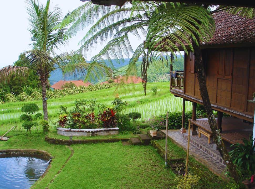wooden barn accommodation set within a garden and nearby rice fields with view of the mountains in Munduk Bali