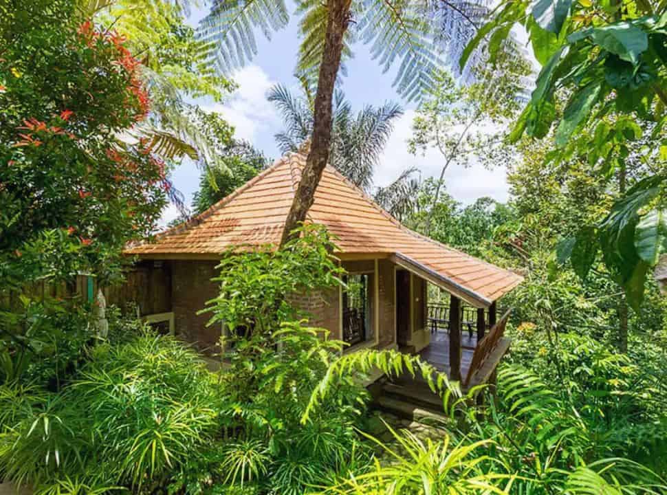 eco bungalow surrounded by lush vegetation in Batukaru Bali
