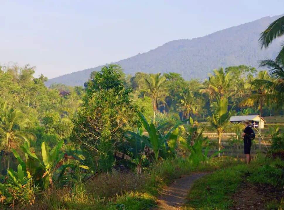 man admiring the view of rice fields, forest and mountains on early in the morning hike through the rice fields at Wongayagede in Bali
