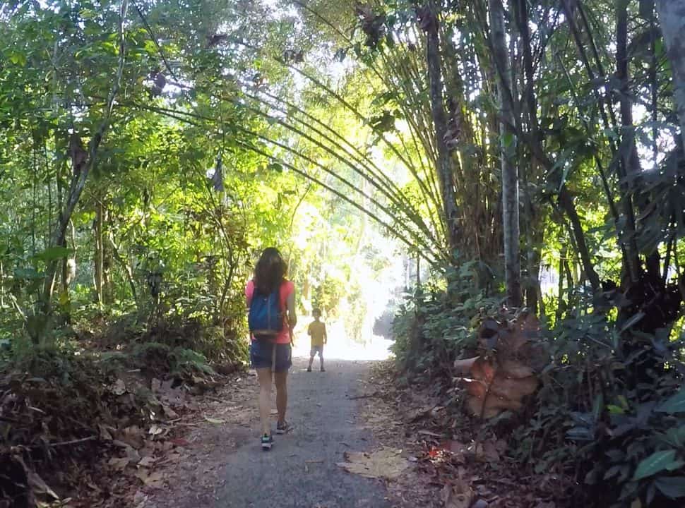 walking around the forest in Wongayagede village one of the things to do in Batukaru Bali