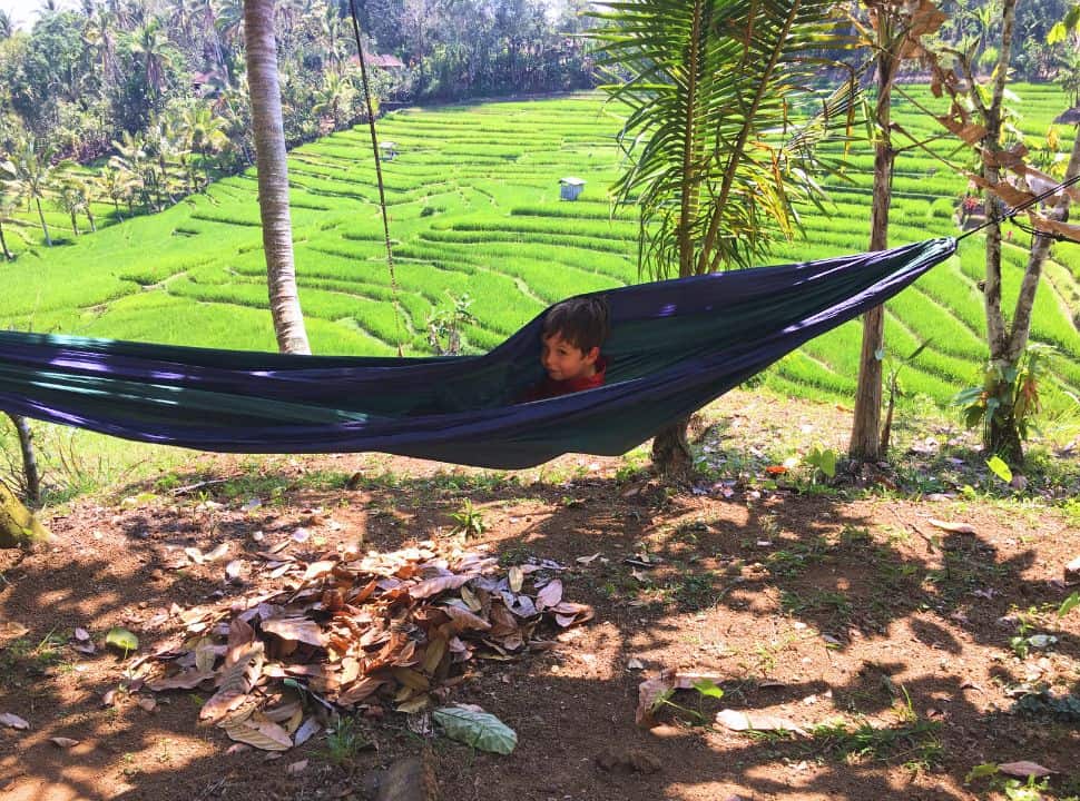 little boy playing in a hammock with in the back ground a stunning green rice field terrace at their accommodation in Batukaru Bali