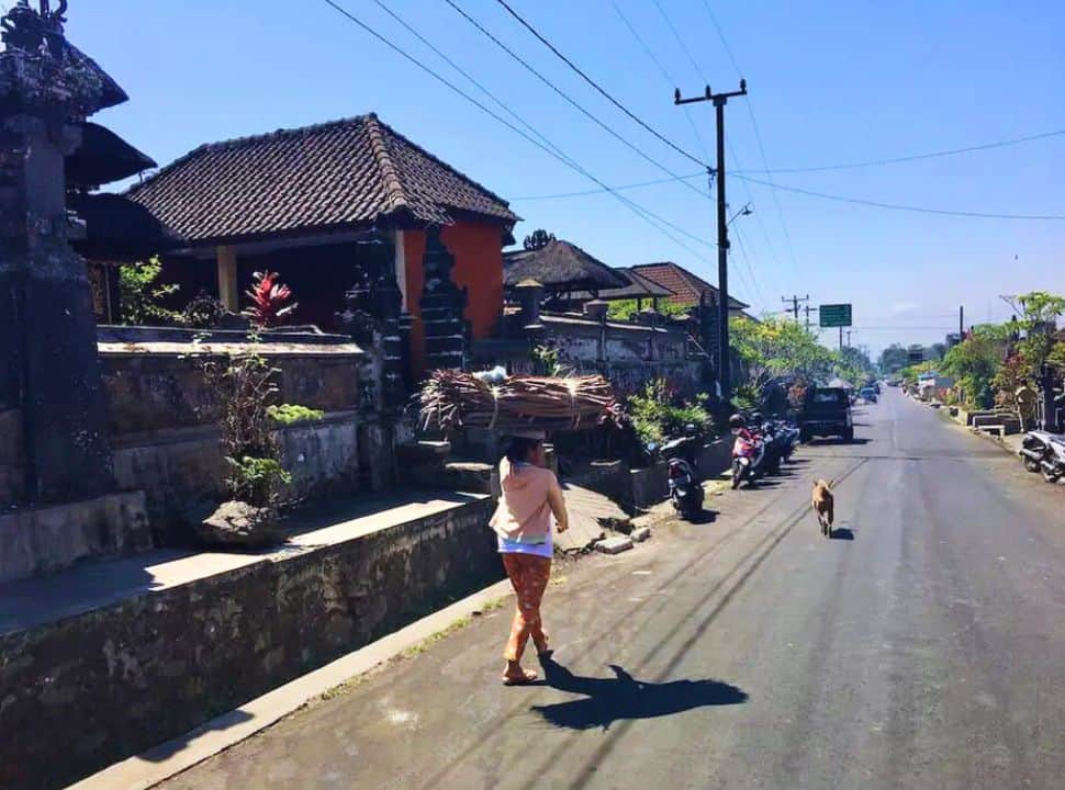 Balinese woman walking with wood on her head in Wongayagede in Batukaru area