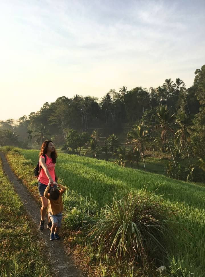 mother and sun walking during sunrise at the rice fields of Wongayagede