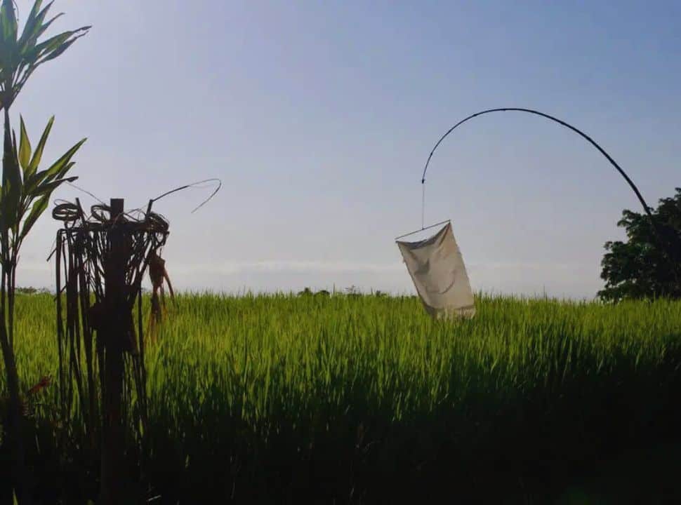 shrine set within a ricefield together with a plastic bag tied at the end of a bamboo pole to scare away the birds in Batukaru area Bali
