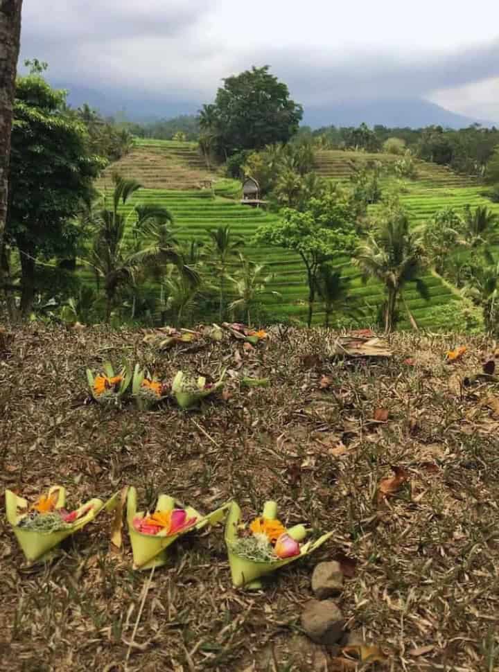 Balinese offerings in banana leave placed on the ground with in the background a rice field terrace and mount Batur hidden in the dark clouds in Batukaru Bali